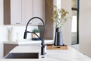 black kitchen faucet